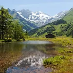 Zacherlbraeu 3*