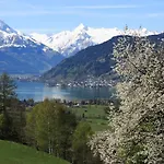 Zacherlbraeu 3*