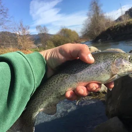 Zacherlbraeu 3* Fusch an der Glocknerstraße