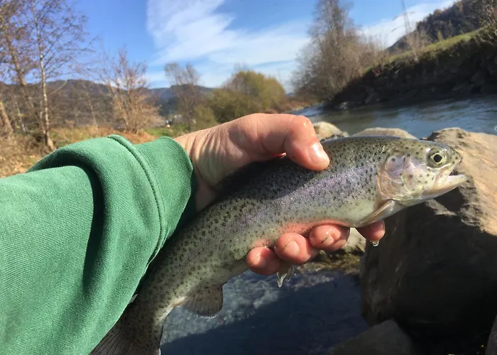 Zacherlbraeu 3* Fusch an der Glocknerstraße